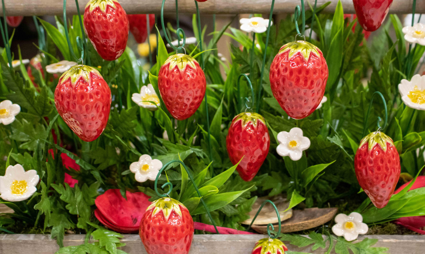 Strawberry Flower