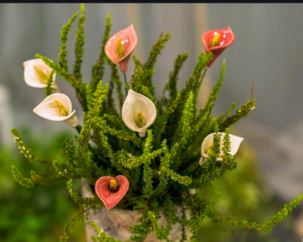 Pink Calla Lily