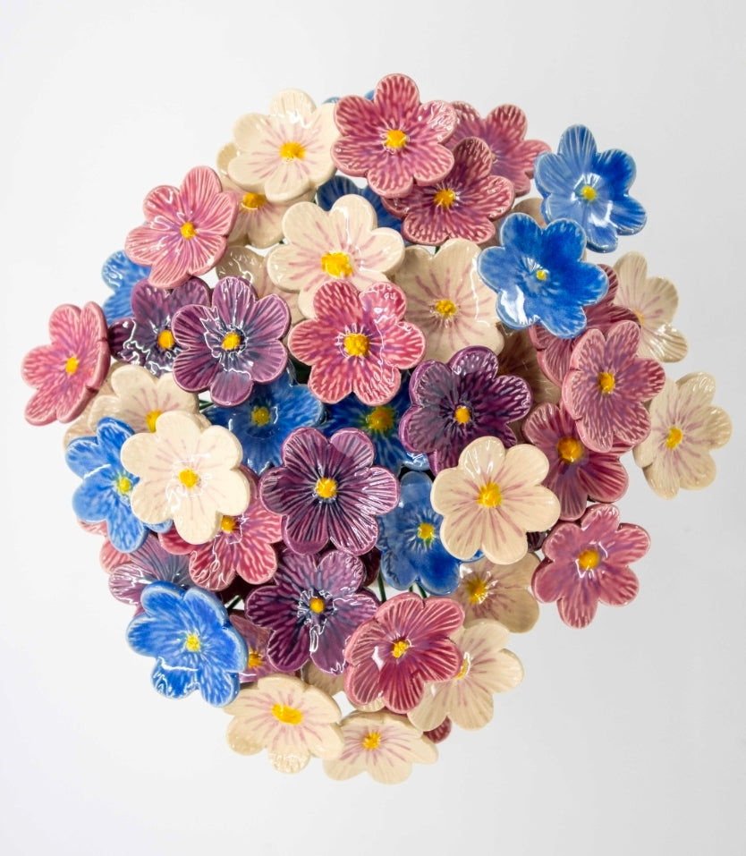 White African Violet