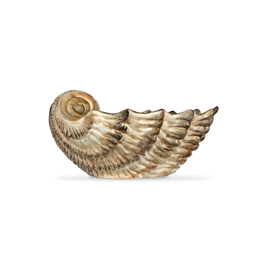 Small Scalloped Serving Shell