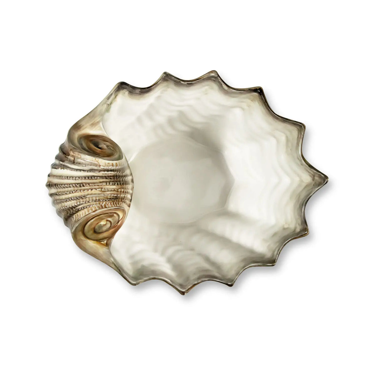 Serving Shell Medium Scalloped Serving Shell – Simply Italian
