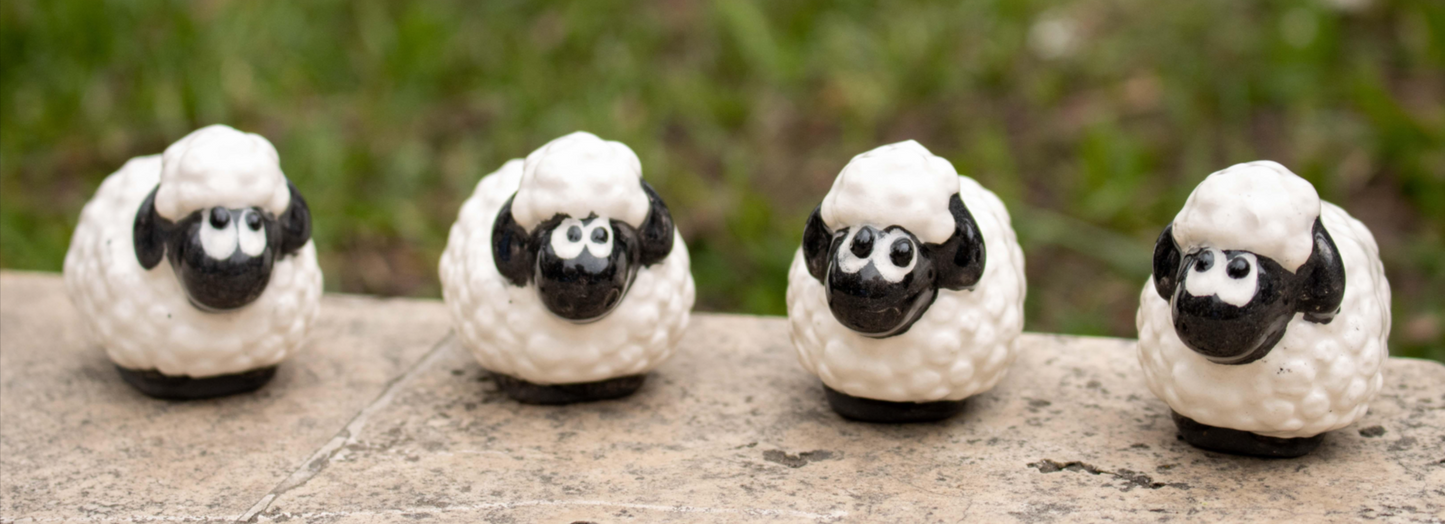 Sheep