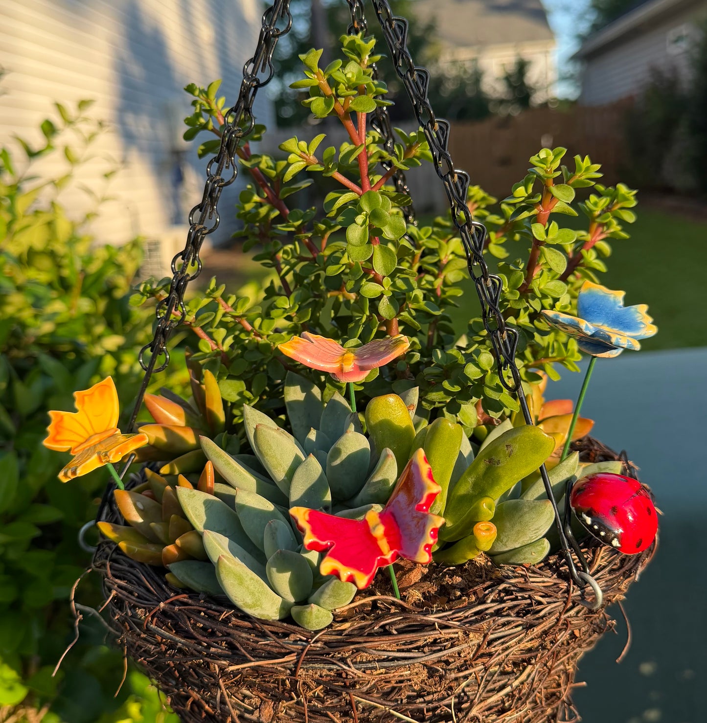 Red Butterfly