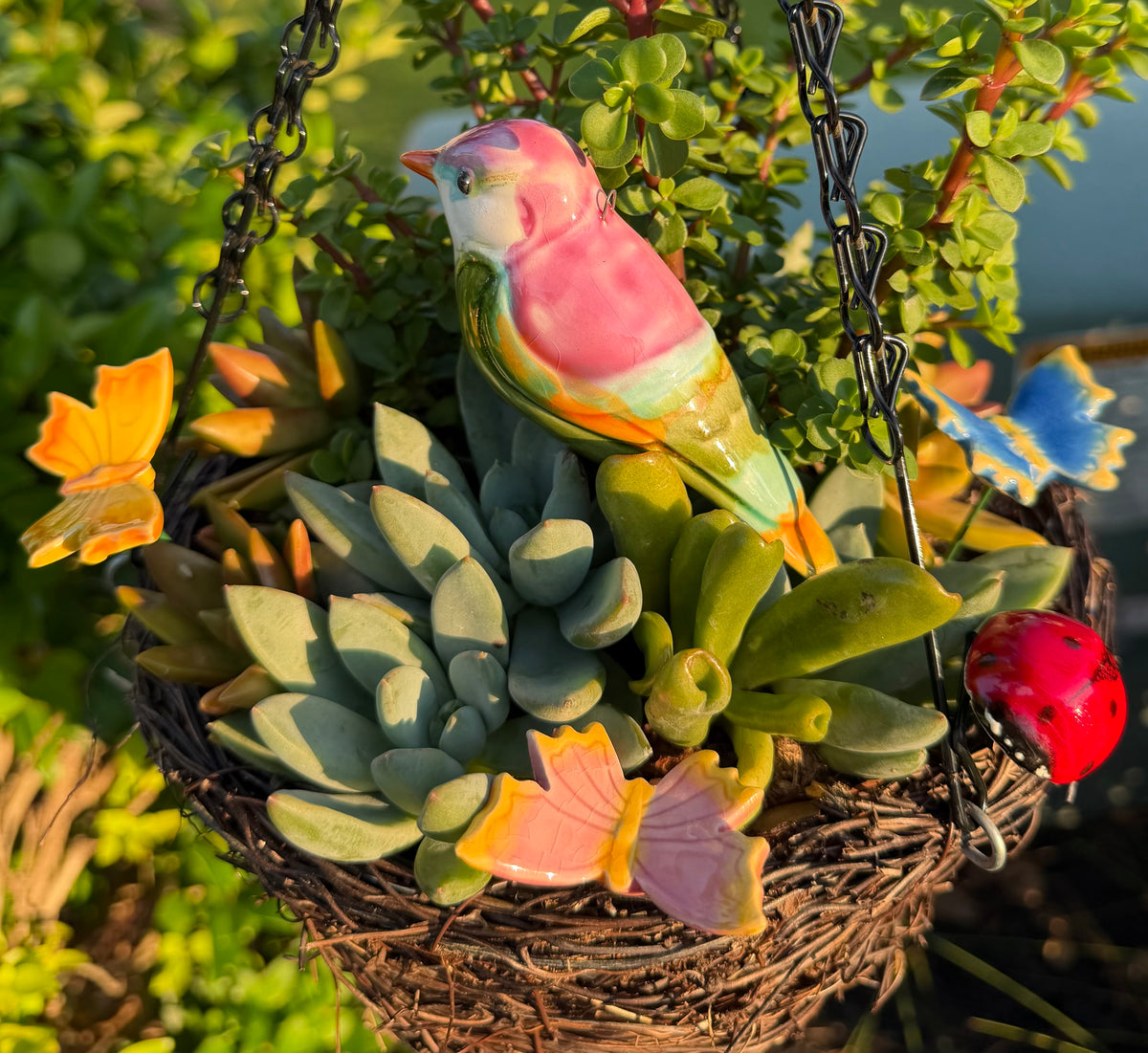 Little Bird