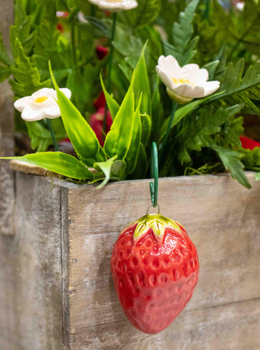 Hanging Strawberry