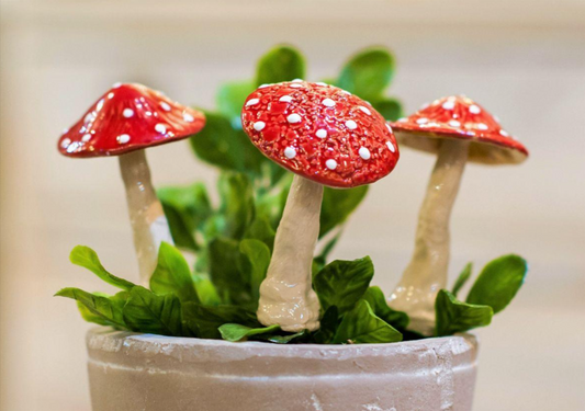 Mushroom