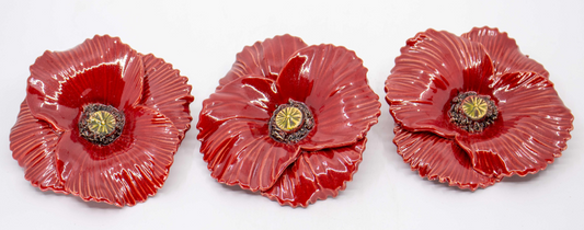 Poppy