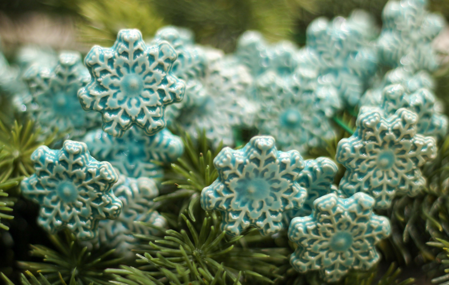 Little Frost Flower