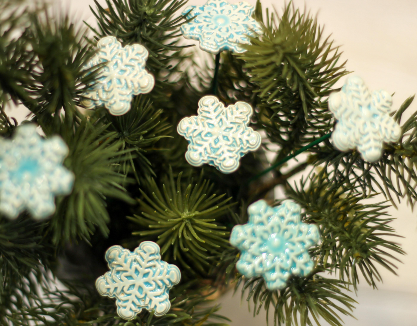 Little Frost Flower