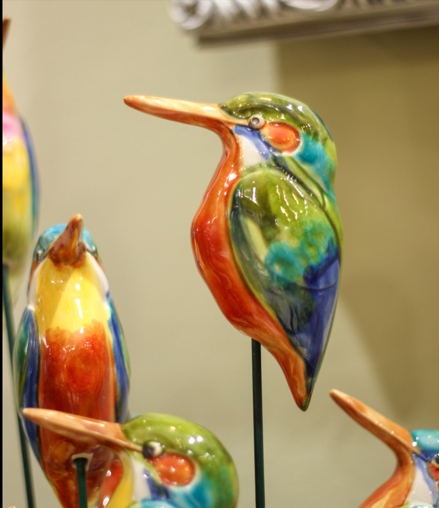 Kingfisher Bird