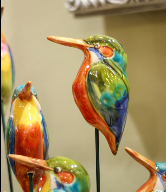 Kingfisher Bird