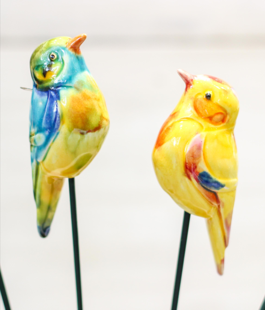 Little Bird