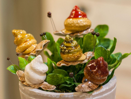 Snail