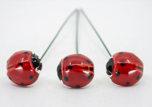 Ladybug