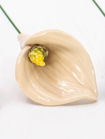 White Calla Lily
