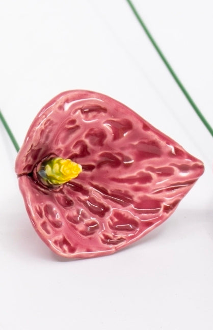 Pink Anthurium