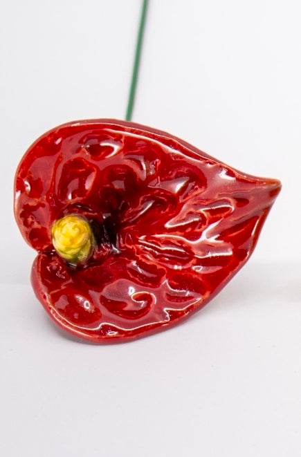 Red Anthurium