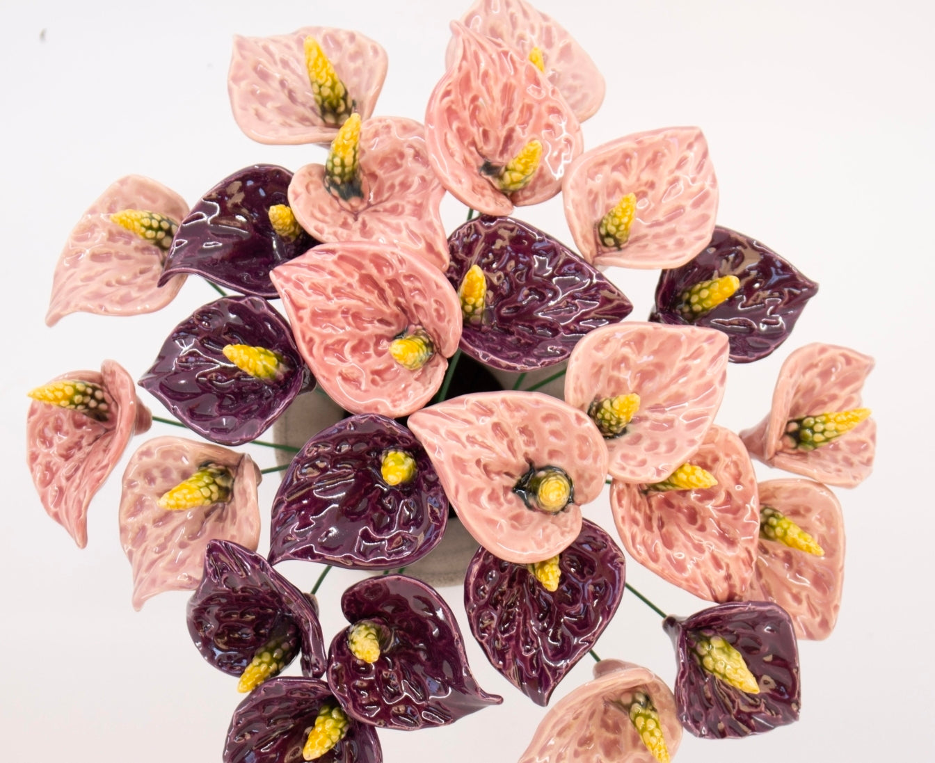 Pink Anthurium