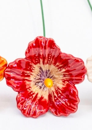 Red Hibiscus