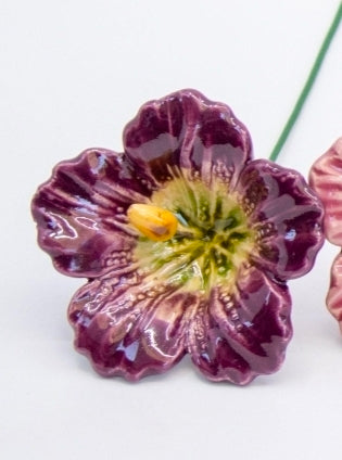 Purple Hibiscus