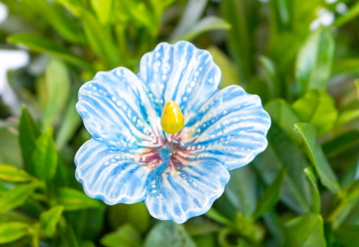 Light Blue Hibiscus