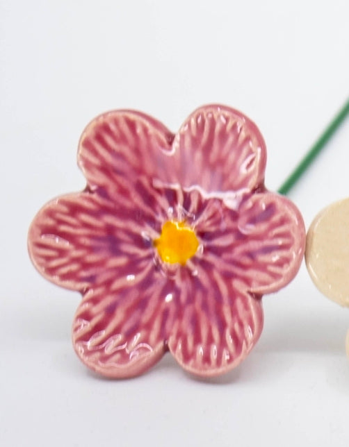 Pink African Violet