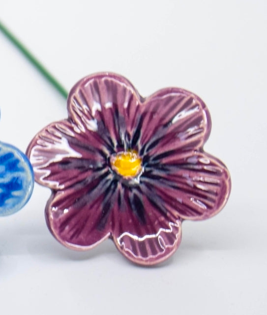 Purple African Violet