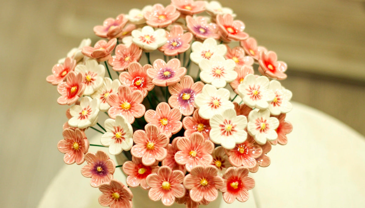 White African Violet